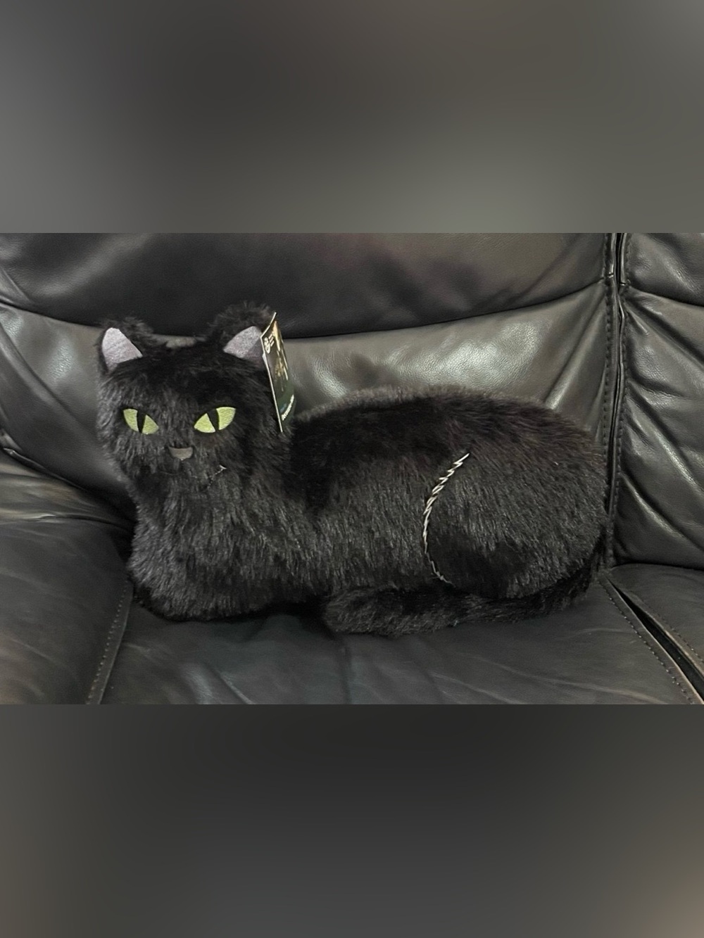 Halloween Black Cat Pillow, Halloween Decor